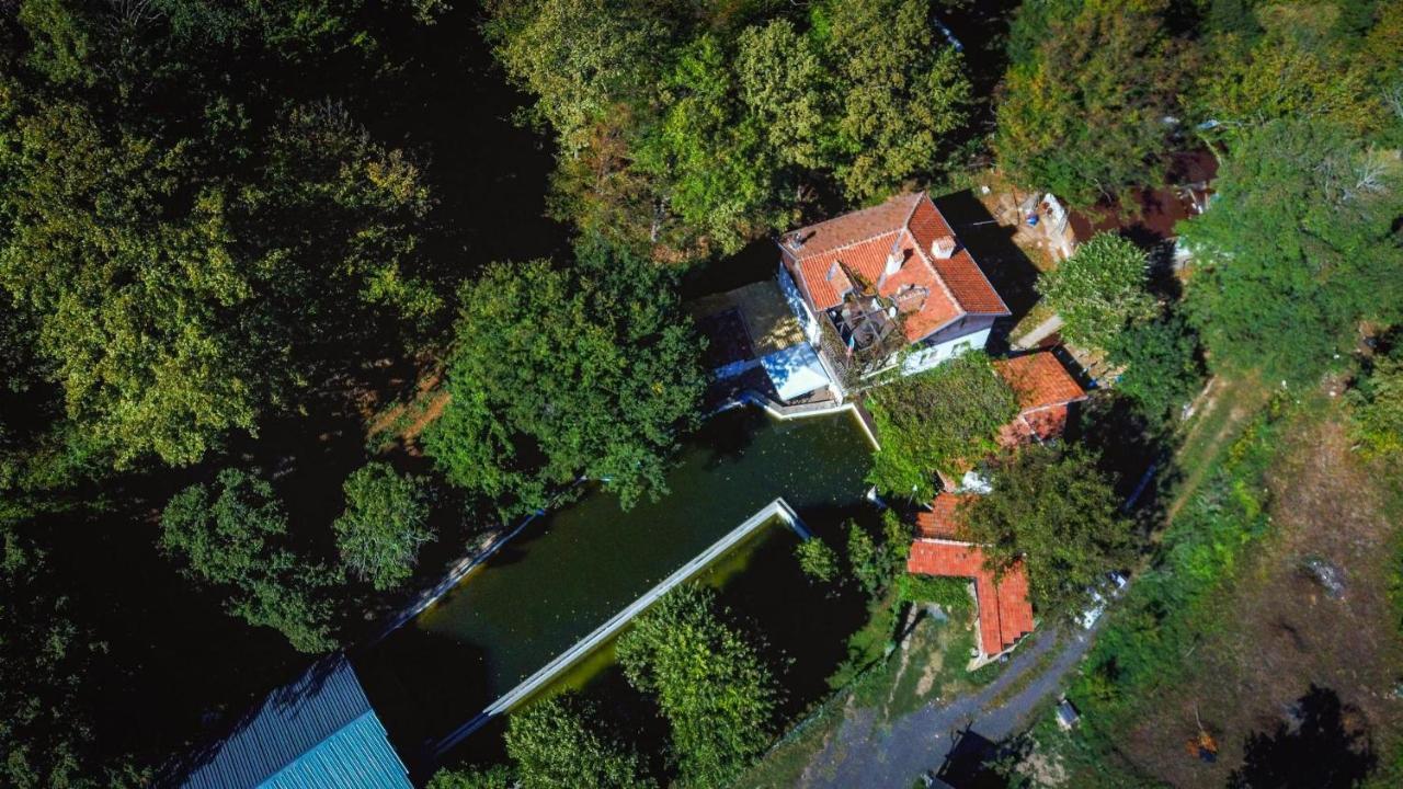 Рибарник Forest Мagic Topolitsa Εξωτερικό φωτογραφία